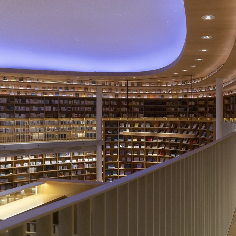 library bookshelf academia